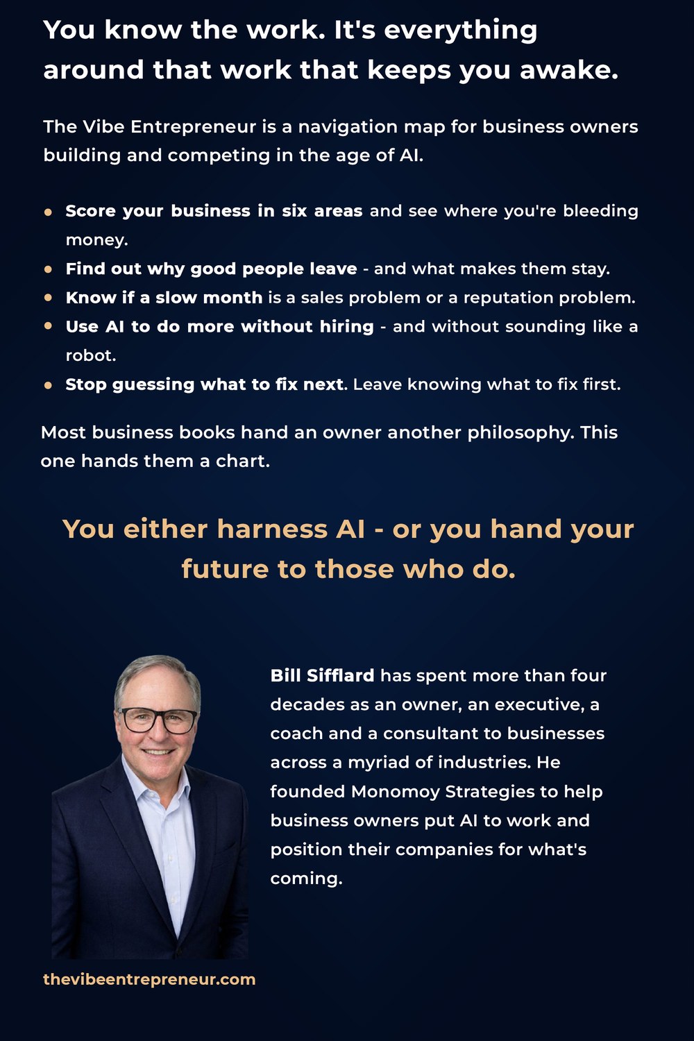 The Vibe Entrepreneur, back cover
